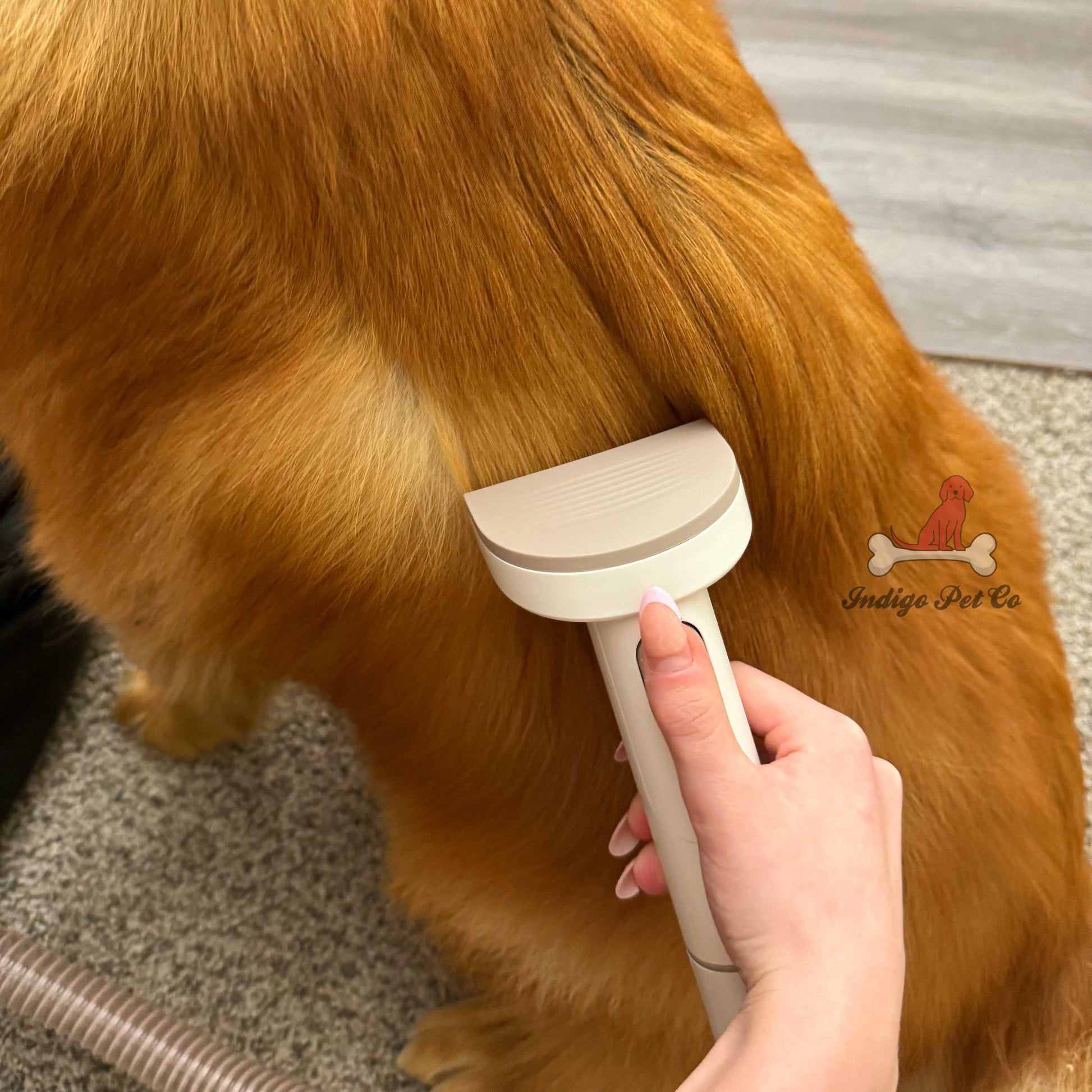 Indigo Pet Grooming Kit