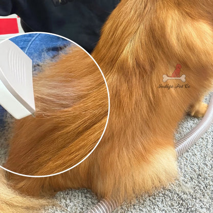 Indigo Pet Grooming Kit
