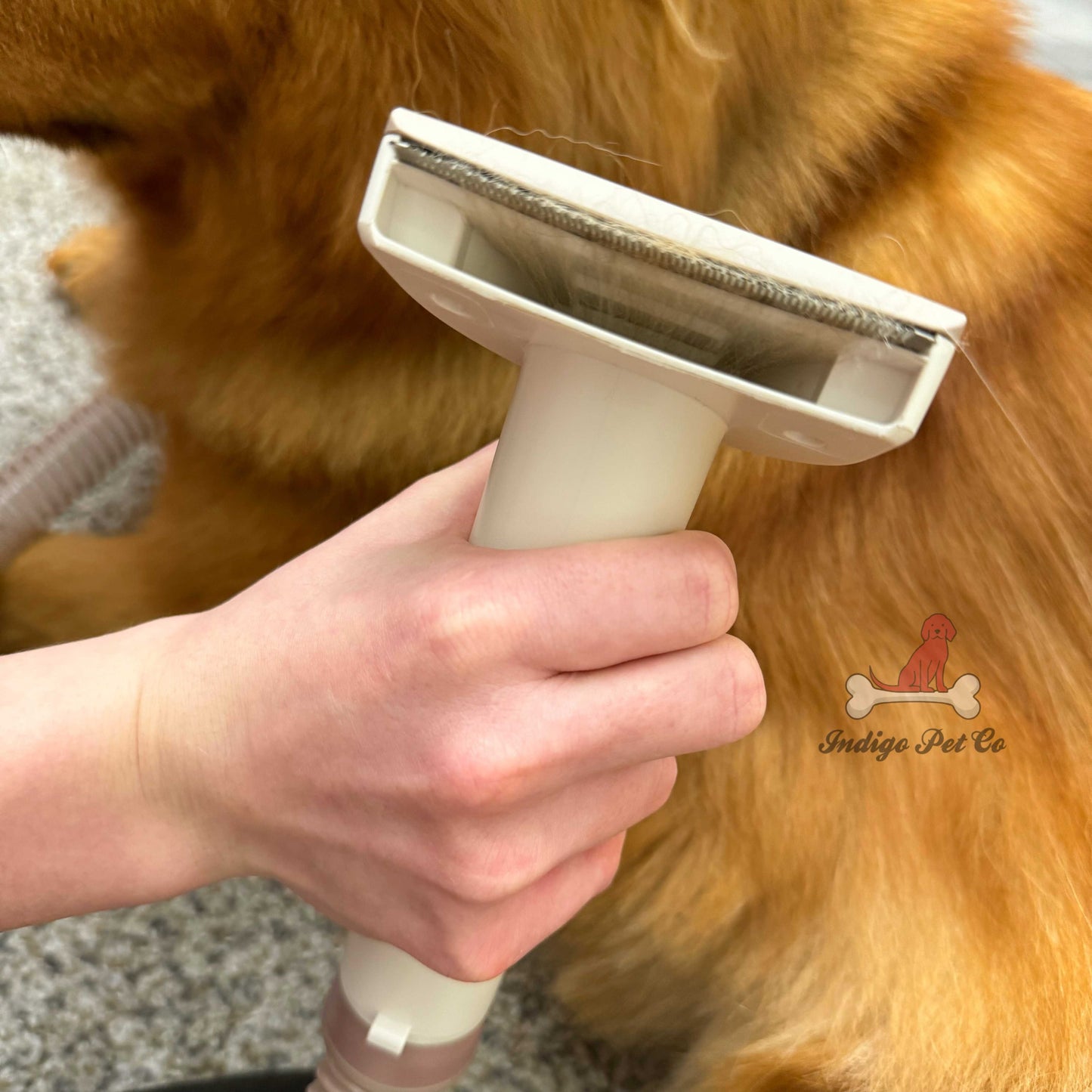 Indigo Pet Grooming Kit
